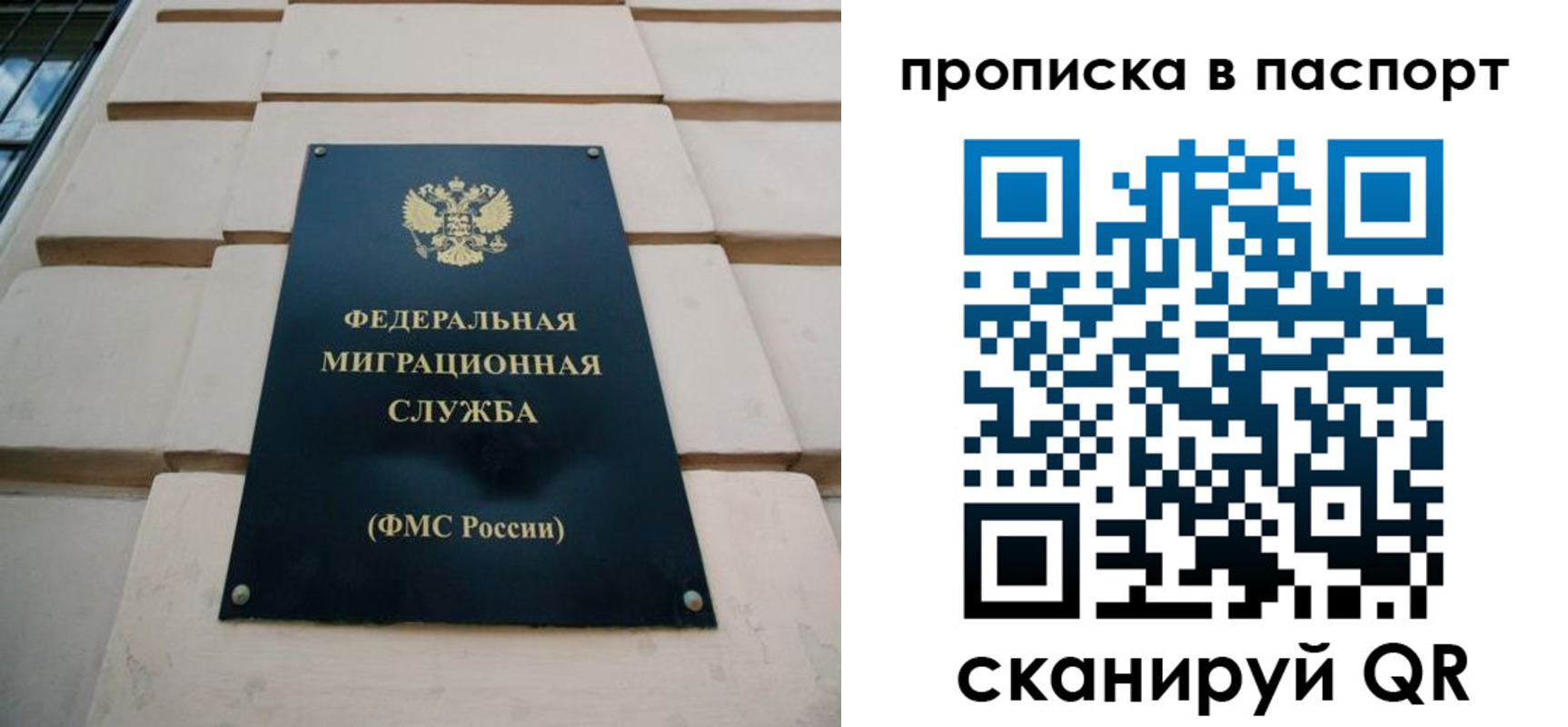 найти адрес прописки в Высоковске